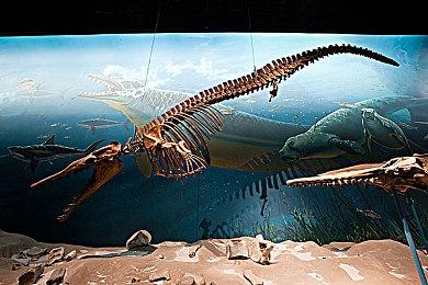 科隆开幕之夜直播被GTA粉丝上台打断 要求更新GTA6消息